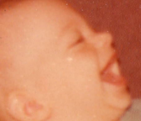 Image 006_compress:face1