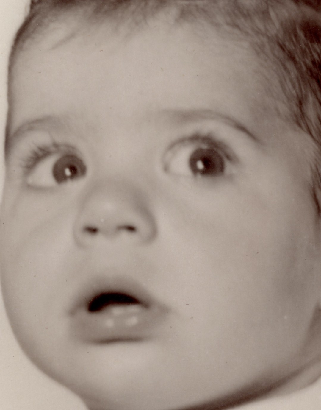 Image 055_compress:face0