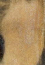 Image 969_compress:face4