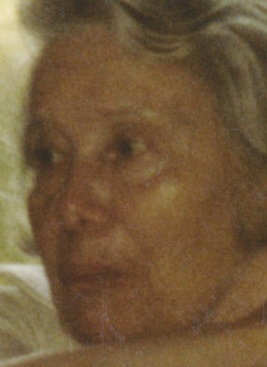 Jean Baumann Kassel Fox