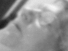 Unidentified Person 3345