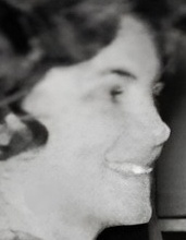 Unidentified Person 477