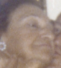 Rose Weiss Baygel Fox