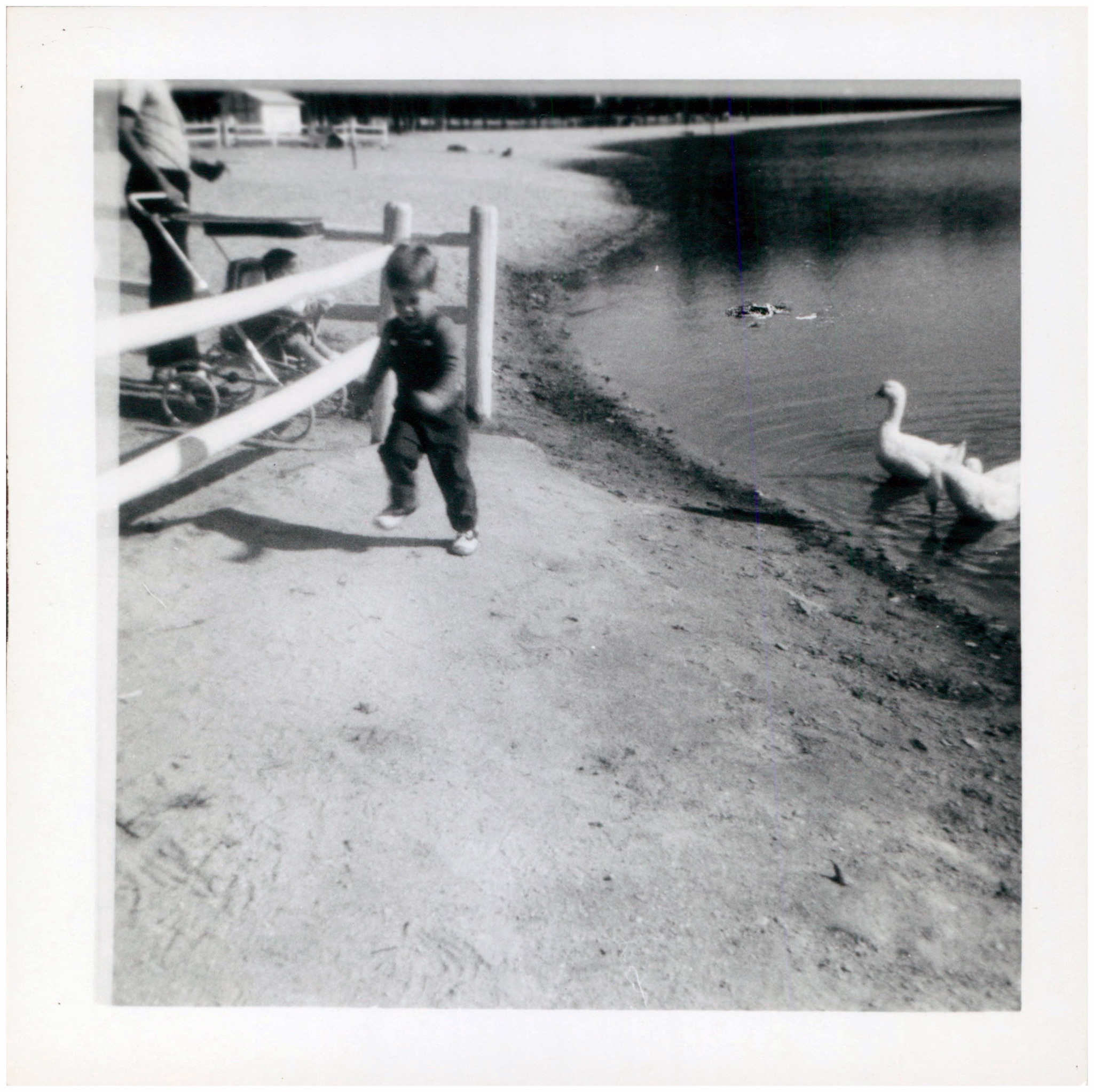 Historical photograph from Sarah Fox Fader Family